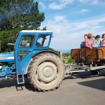 Lower Campscott Farm Holiday Cottages